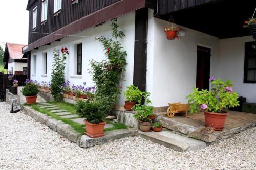 Zahrada ubytování Penzion D'Artagnan