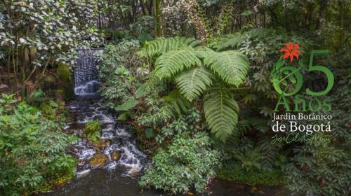 a painting of a garden with a waterfall and plants at ESPACIOSA y MODERNA SUITE in Bogotá