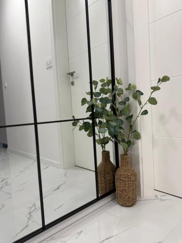 two vases with plants sitting on a floor in front of a mirror at Apartman Dukat- Luksuzna novogradnja u srcu Vinkovaca s parkingom in Vinkovci