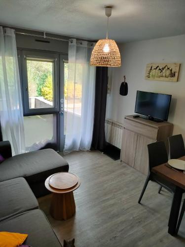 Vielle-AureにあるT2 familial 4-5 pers bord de la neste, parking privé gratuitのソファとテーブルのあるリビングルーム