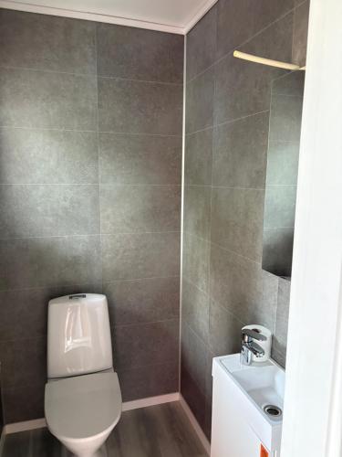 a bathroom with a toilet and a sink at House in Nordfjord, with 4 bedrooms in Nordfjordeid