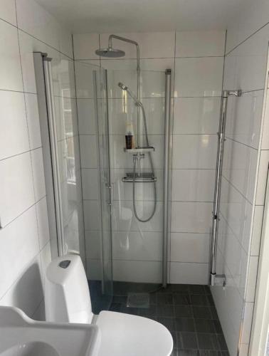a bathroom with a shower and a toilet and a sink at Mountain Cabin with Ski-in Access in Björnrike 