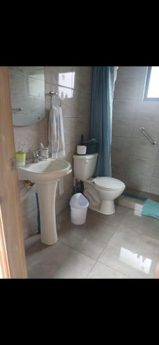a bathroom with a sink and a toilet at Cabaña en el claro in Pucón