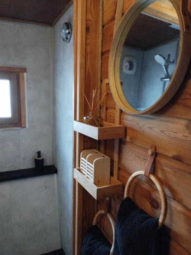 a bathroom with a mirror and a sink in a room at La Toue Charme in Angers