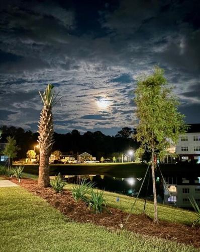two palm trees and a body of water at night at RentPar4 in Little River