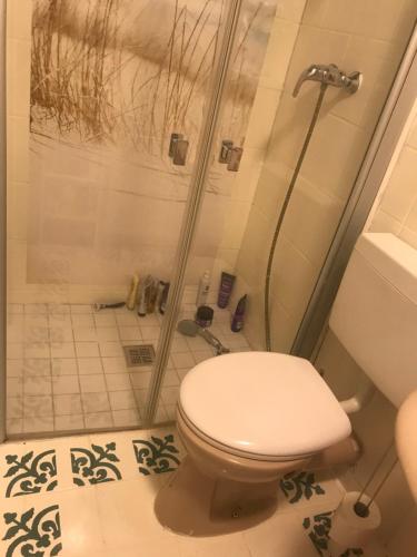 ランゲスハイムにあるFerienwohnung Sagenhaftのトイレとシャワー付きのバスルーム