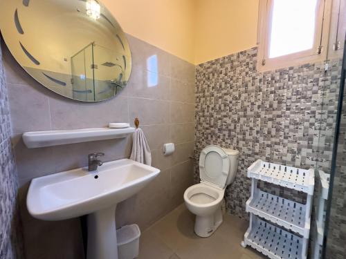 Un baño con lavabo, inodoro y espejo. en Appartement lumineux avec Jardin à la palmeraie, en Marrakech