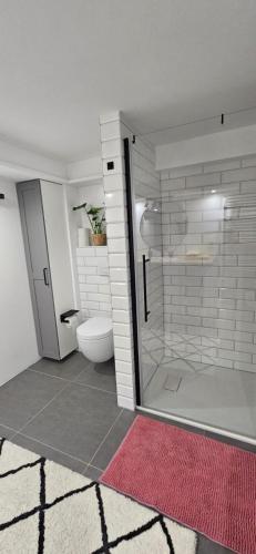 a bathroom with a glass shower and a toilet at Orscholz apt with free parking & garden & bicycle storage in Orscholz