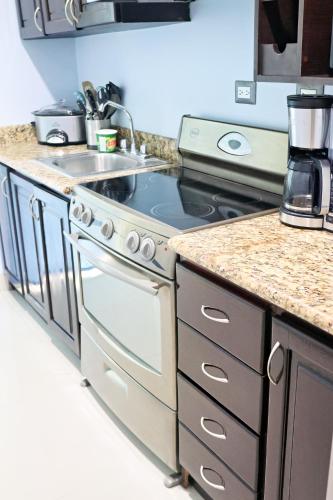 a kitchen with a stove and a sink at Southern Escapes Apartment in Quepos