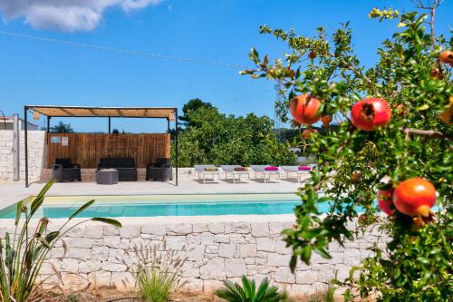 a pool with chairs and an orange tree at Rock'n'Trullo 4 bedroom privatepool by TripOstuni in Ostuni