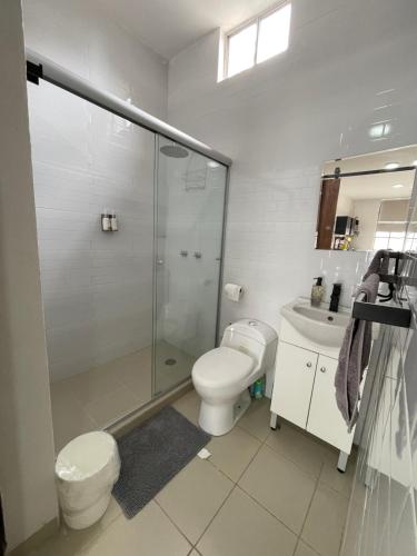 a bathroom with a shower and a toilet and a sink at Loft cerca de todo con cochera in León
