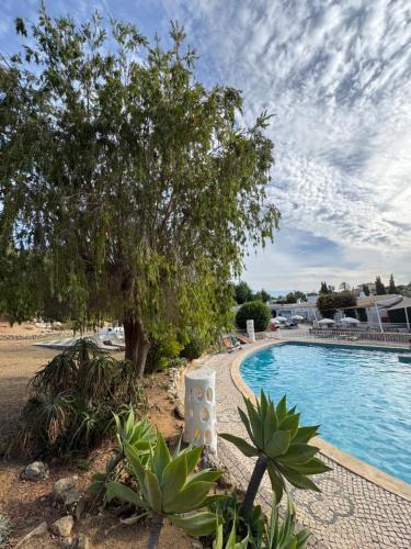 una piscina con un árbol al lado de una casa en Casa Gatu Verdi, en Carvoeiro