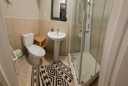 a bathroom with a toilet and a sink and a shower at Cabana Vikingilor Bucovina in Vama