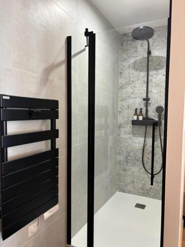 a shower with a glass door in a bathroom at Le Ruby in Amboise
