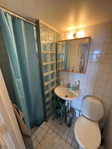 a bathroom with a toilet and a sink at Havsnära studio in Höganäs