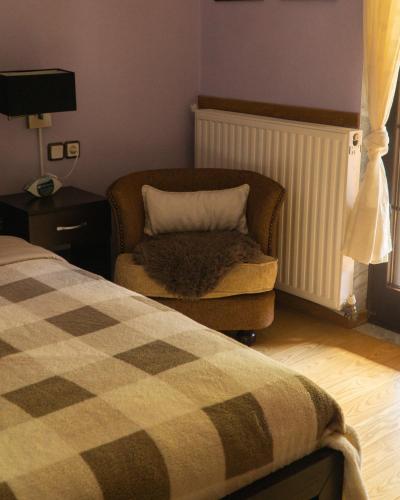 a bedroom with a bed and a chair with a pillow at Villa Tethys Mountain Resort in Zákas