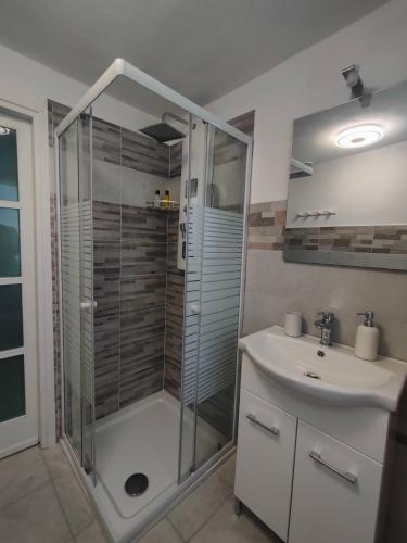 a bathroom with a shower and a sink at L'Oasi di Mario in Pinerolo