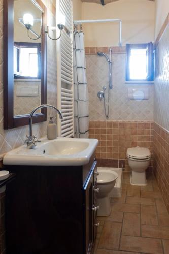 a bathroom with a sink and a toilet and a shower at Casa Marù in Abbateggio