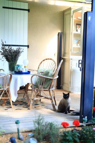 a cat sitting on the floor next to a table and chairs at A l'Ecole Buissonnière, chambre d'hôtes en Sidobre in Lacrouzette