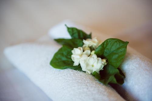 a small white flower sitting on top of a paper towel at Seng Hout Hotel in Battambang