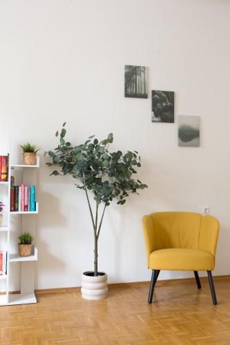 Bright City Apartment
