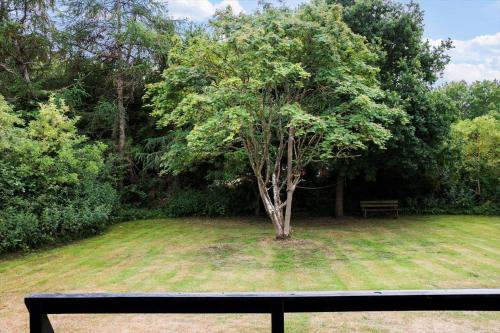 a tree in the middle of a yard with a bench at LL238-Tranekaer-Engvej-17 in Tranekær