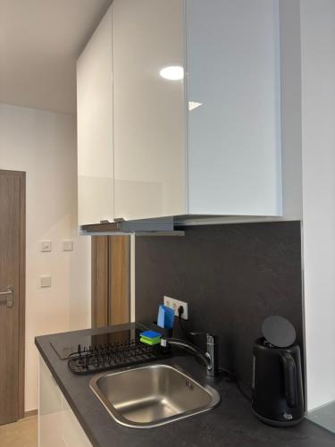 Η κουζίνα ή μικρή κουζίνα στο Apartments Luna