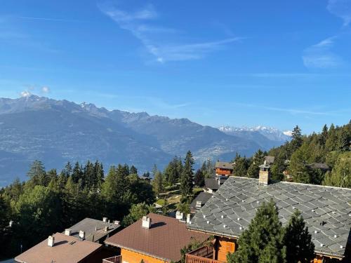 Nice apartment with great views in Anzère