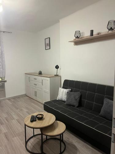 Apartament Górnik