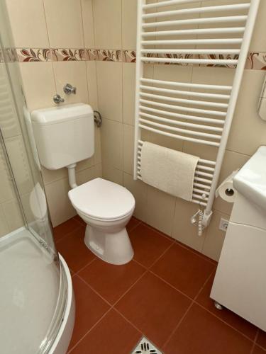 une petite salle de bain avec toilettes et lavabo dans l'établissement HAREM romantic apartment, à Eger