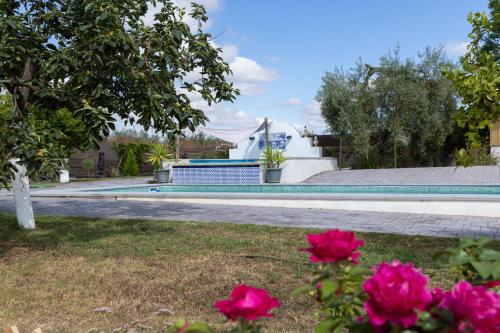 Taman di luar Casa los Laureles