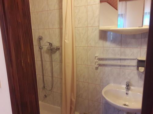 a bathroom with a shower and a sink at House Anamarija in Seliste Dreznicko