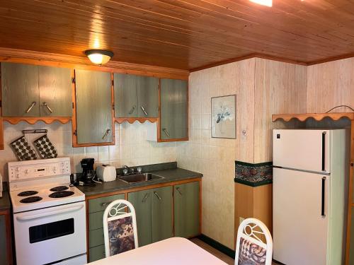 a kitchen with green cabinets and a white refrigerator at Camping Chalets Lac St-Augustin in Quebec City
