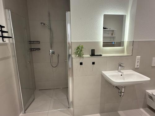 a bathroom with a shower and a sink at Auszeit im Feriendomizil - Klein & Fein für 4 Gäste in Frittlingen