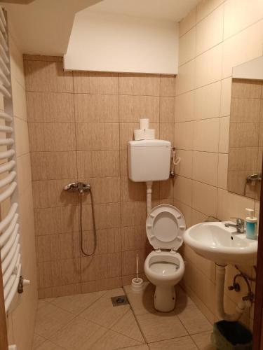 a bathroom with a toilet and a sink at Etno selo Srna in Kalna