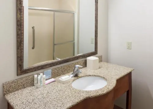 Hampton Inn & Suites Davenport photo 7