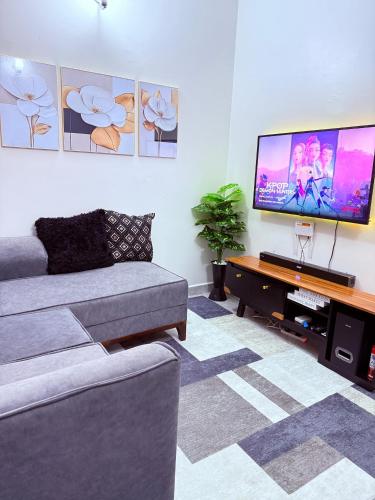 Televisyen dan/atau pusat hiburan di Millan House