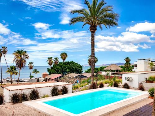 a swimming pool in front of a palm tree and the ocean at InHouse Glamping Hotel La Paz in La Paz
