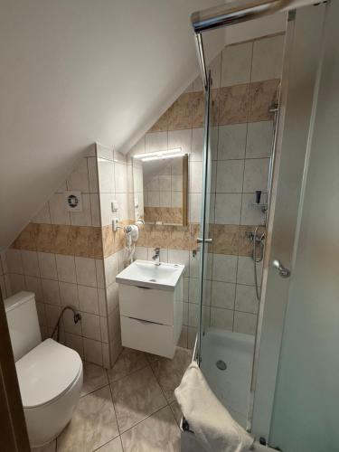 een badkamer met toilet, wastafel en douche bij Garden Villa in Busko-Zdrój