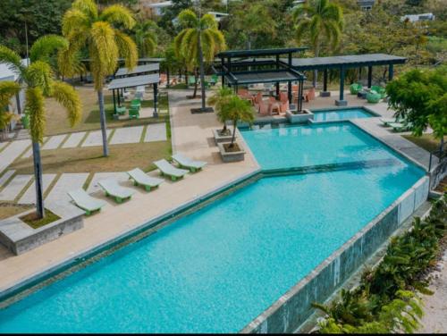 a large swimming pool with lounge chairs and palm trees at Casa Luna in Santa Cruz