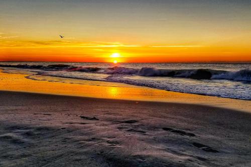 a sunset on a beach with the ocean at Haven On The Links in Pawleys Island