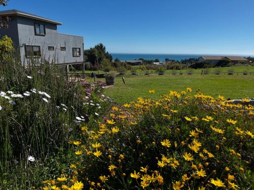 a field of flowers in front of a building at Viejoboldo_latrinchera in Los Rábanos