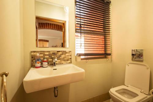 a bathroom with a sink and a toilet at Wolfkop Nature Reserve in Citrusdal
