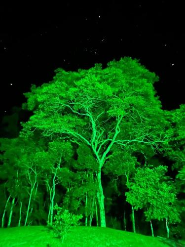 Gambar di galeri bagi Canto do Sagui di Itamonte