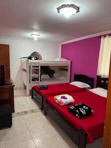 a bedroom with two beds and a pink wall at EcoHotel Colibrí Salento in Luna Park
