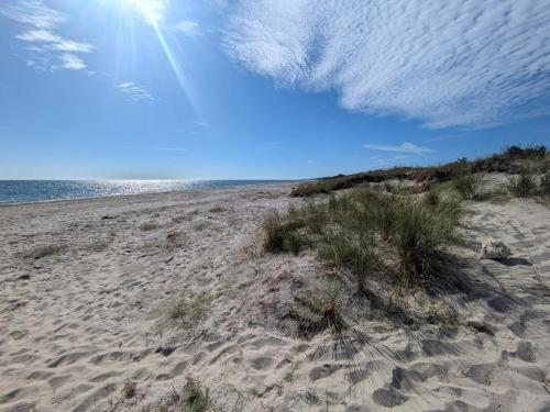 einen Sandstrand mit Gras und das Meer im Hintergrund in der Unterkunft 8 person holiday home in Væggerløse in Bøtø By