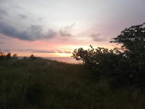 a sunset on a hill with grass and trees at 4 star holiday home in Væggerløse in Bøtø By