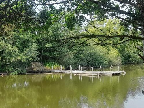 a wooden dock in the middle of a lake at 4 star holiday home in Væggerløse in Bøtø By