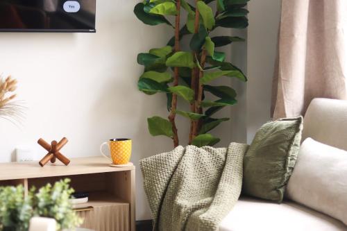 a living room with a couch and a plant at Elegant Scandinavian Escape Birmingham in Birmingham