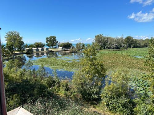 a view of a river with algae in a field at E&S Lake House Retreate & S Lake House Retreat in Amherstburg